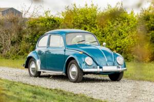 Bild 1/40 von Volkswagen Käfer 1300 (1965)