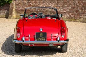 Bild 6/50 von Alfa Romeo Giulia 1600 Spider Veloce (1965)