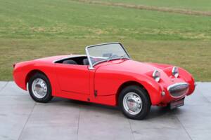 Bild 1/50 von Austin-Healey Sprite Mk I (1959)