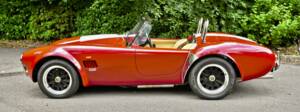 Image 8/50 de AC Cobra 289 (2000)