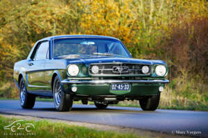 Image 25/58 of Ford Mustang 289 (1965)
