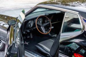 Immagine 39/48 di Ford Mustang Boss 351 (1970)