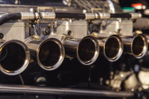 Image 28/34 of Lister Knobbly (2021)