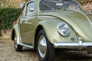 Bild 43/50 von Volkswagen Beetle 1200 Standard "Oval" (1956)