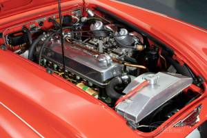 Immagine 3/19 di Austin-Healey 3000 Mk III (BJ8) (1965)