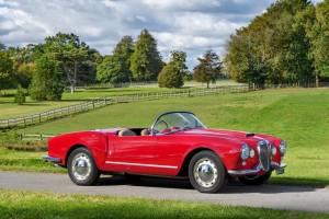 Bild 12/24 von Lancia Aurelia B24 Spider &quot;America&quot; (1955)