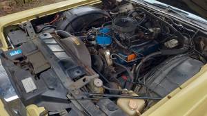 Image 27/34 of Lincoln Continental Mark IV (1974)