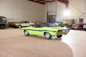Immagine 9/71 di Dodge Challenger R/T (1970)