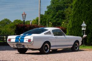 Image 11/54 of Ford Shelby GT 350 (1965)