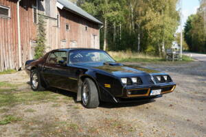 Afbeelding 5/69 van Pontiac Firebird TransAm (1979)