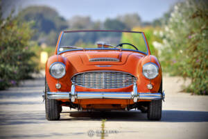 Bild 9/40 von Austin-Healey 3000 Mk I (BN7) (1959)