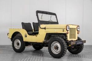Bild 6/50 von Willys CJ-3B (1955)