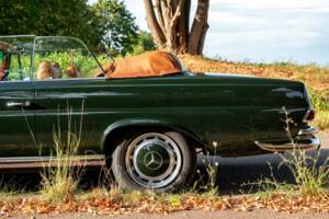 Bild 39/41 von Mercedes-Benz 250 SE (1967)