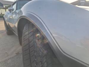 Image 15/82 of Chevrolet Corvette 25th Anniversary (1978)