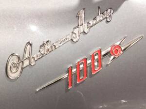 Imagen 37/72 de Austin-Healey 100/6 (BN4) (1957)