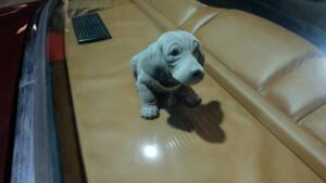 Bild 18/30 von Mercedes-Benz 280 SE 3,5 (1970)