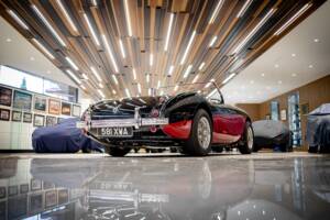 Bild 13/50 von Austin-Healey 100/4 (BN2) (1956)