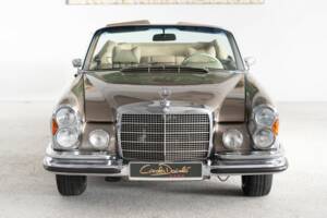 Bild 16/42 von Mercedes-Benz 280 SE 3,5 (1971)