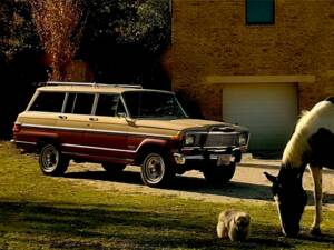 Image 1/14 de Jeep Wagoneer Limited (1979)