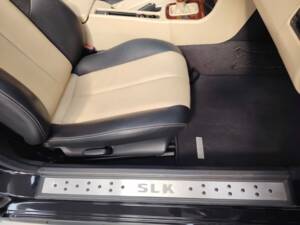 Bild 37/54 von Mercedes-Benz SLK 230 Kompressor (2002)