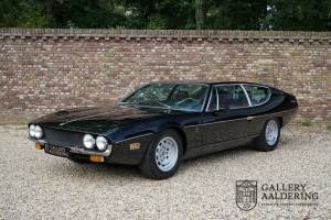 Bild 1/50 von Lamborghini Espada (1973)