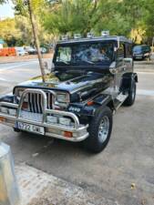 Image 1/23 of Jeep Wrangler 4.0 (1992)