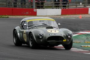Imagen 10/15 de AC Shelby Cobra 289 (1965)