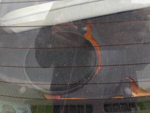 Bild 28/92 von Nissan Be-1 1.0 (1987)