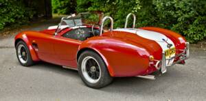 Image 11/50 de AC Cobra 289 (2000)