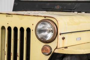 Bild 36/50 von Willys CJ-3B (1955)