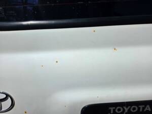 Image 22/48 de Toyota Land Cruiser FJ80 (1992)