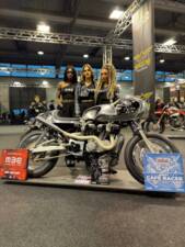 Bild 1/25 von Harley-Davidson Sportster XLH 883 (1995)