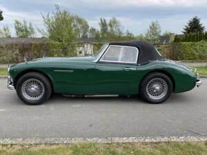 Bild 2/24 von Austin-Healey 100/6 (BN4) (1959)