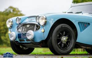 Bild 43/58 von Austin-Healey 3000 Mk II (BJ7) (1964)