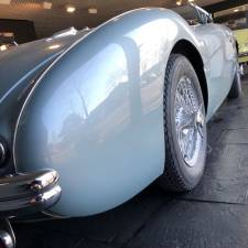 Bild 23/49 von Austin-Healey 100&#x2F;4 (BN1) (1954)