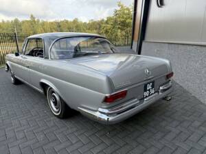 Immagine 8/36 di Mercedes-Benz 250 SE (1966)