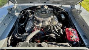 Immagine 37/56 di Dodge Charger R&#x2F;T 440 (1969)