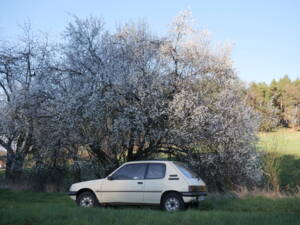 Image 65/65 of Peugeot 205 &quot;Indiana&quot; (1992)