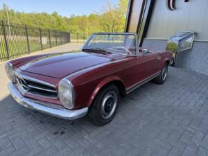 Image 12/50 of Mercedes-Benz 230 SL (1966)