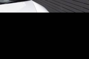 Afbeelding 8/26 van Porsche 911 Carrera GTS (2011)