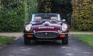 Bild 6/31 von Jaguar E-Type V12 (1974)