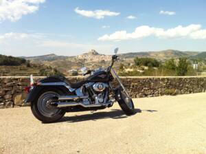 Immagine 6/7 di Harley-Davidson FLSTF Fat Boy (2004)