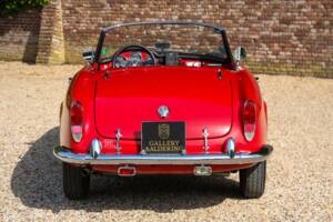 Bild 46/50 von Alfa Romeo Giulia 1600 Spider Veloce (1965)