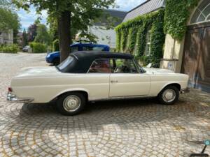 Image 39/77 of Mercedes-Benz 250 SE (1966)
