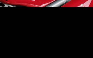 Image 65/66 of Triumph Daytona T595 (1998)
