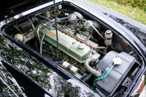 Image 13/51 of Austin-Healey 3000 Mk III (BJ8) (1967)