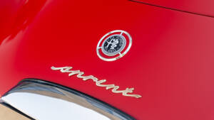 Imagen 28/88 de Alfa Romeo Giulietta Sprint (1962)