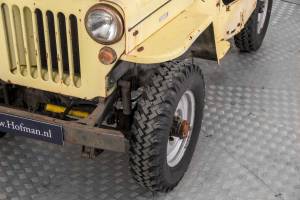 Bild 29/50 von Willys CJ-3B (1955)