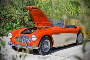 Bild 14/40 von Austin-Healey 3000 Mk I (BN7) (1959)