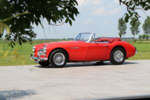 Image 9/50 of Austin-Healey 3000 Mk III (BJ8) (1964)